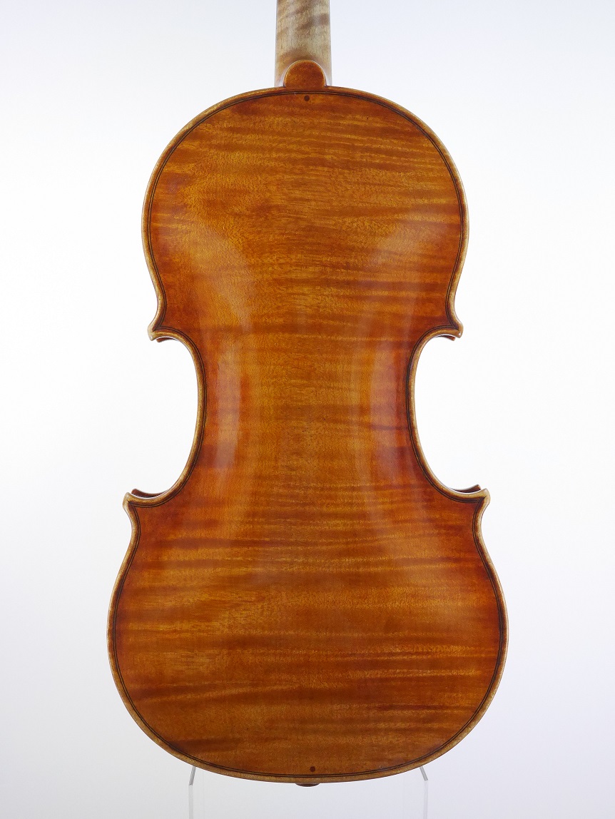 violin back